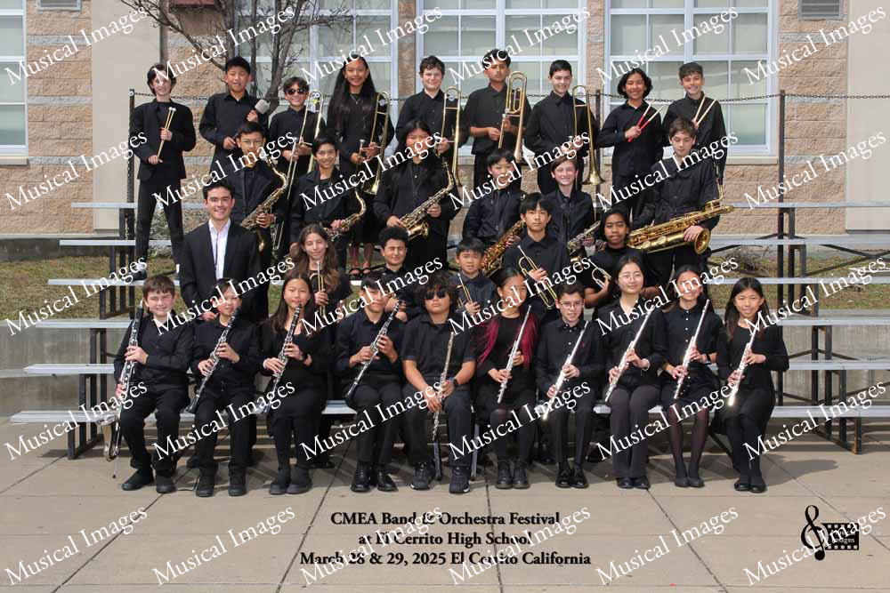 Musical Images
